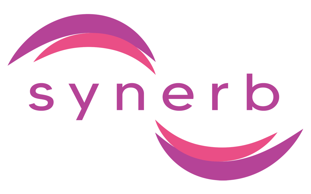 Synerb Venture Catalyzer