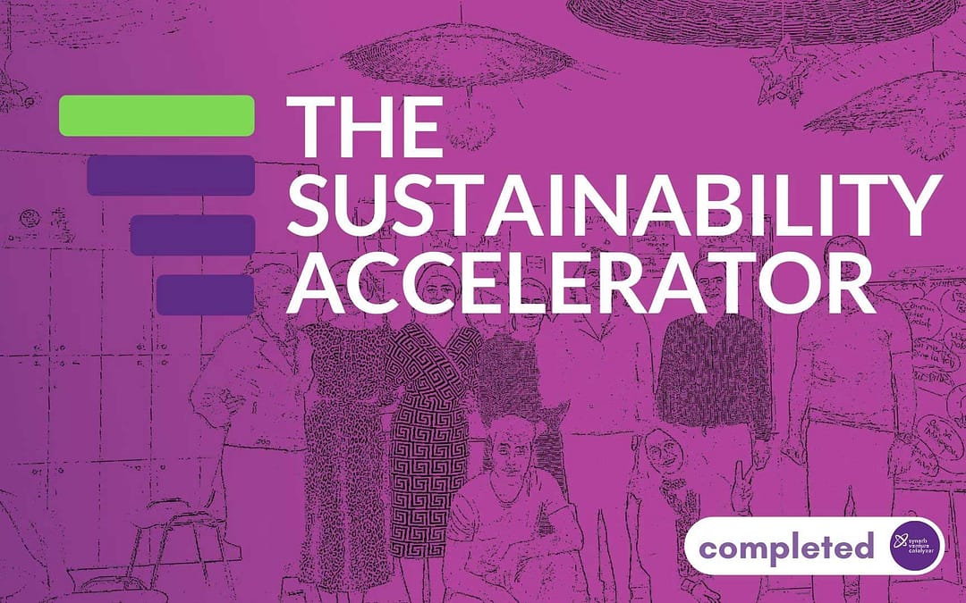 The sustainability accelerator
