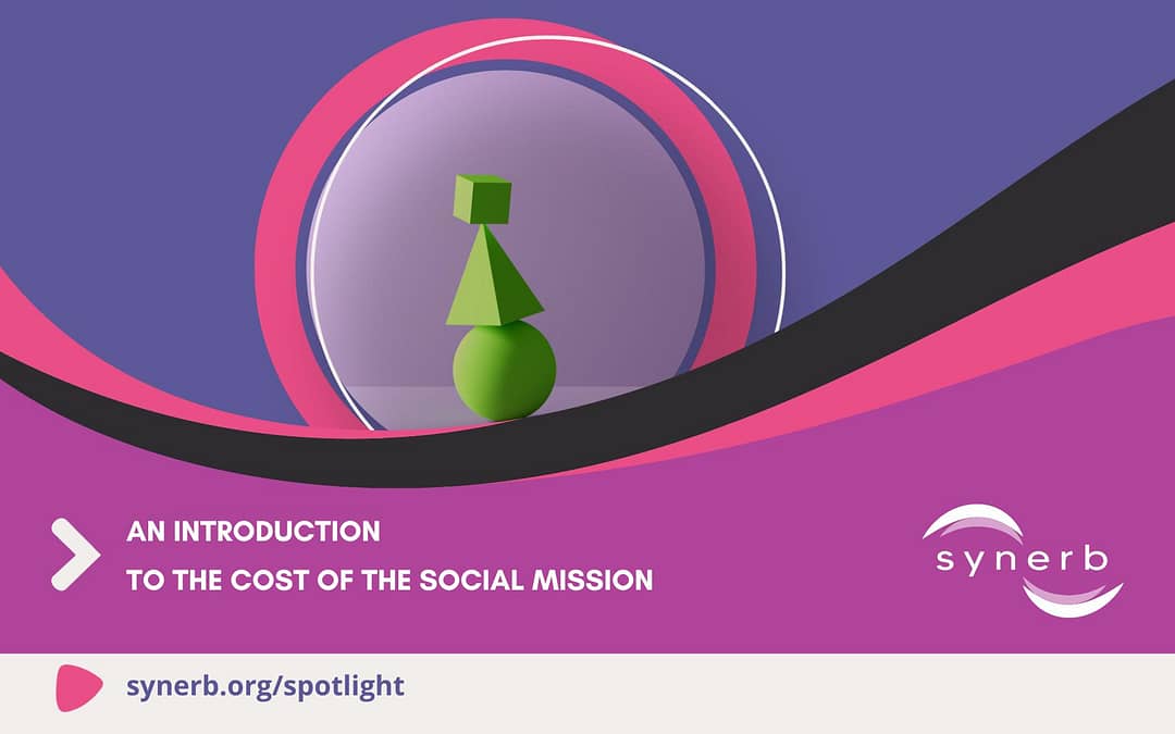 An Introduction to The Cost of the Social Mission