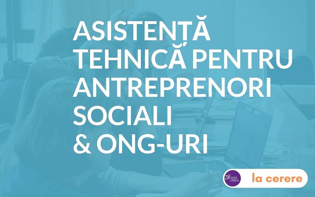 Asistenta Tehnica