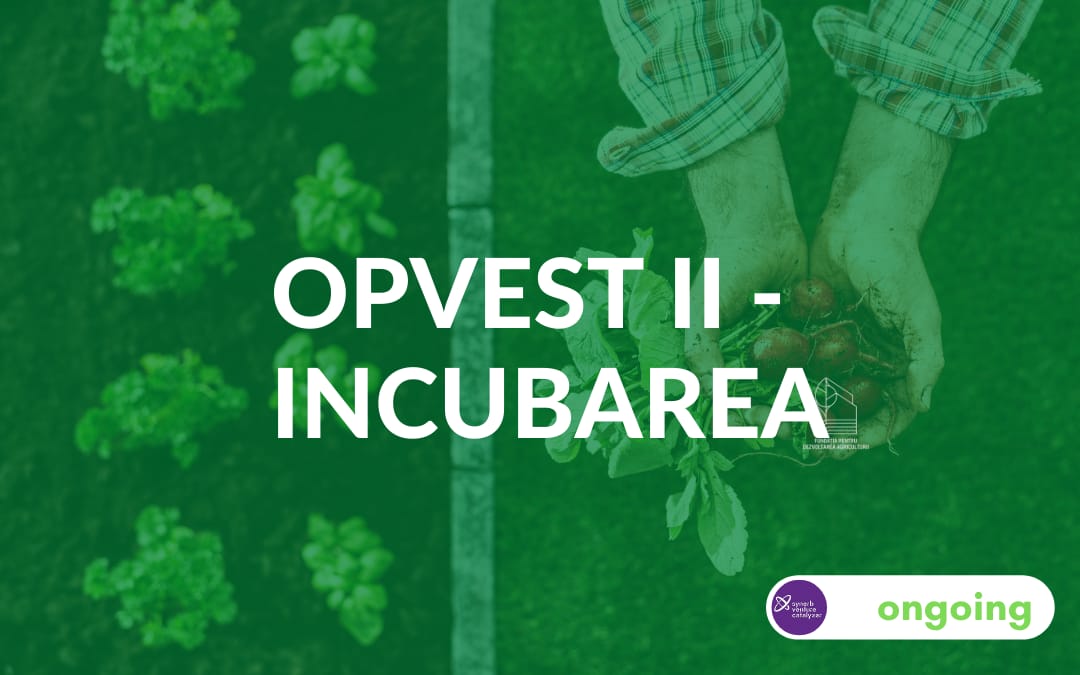 OpVest – Incubarea