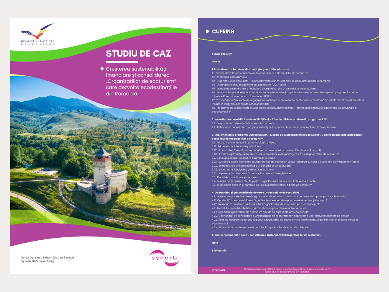 Studiu de caz ecoturism Romania Synerb flip