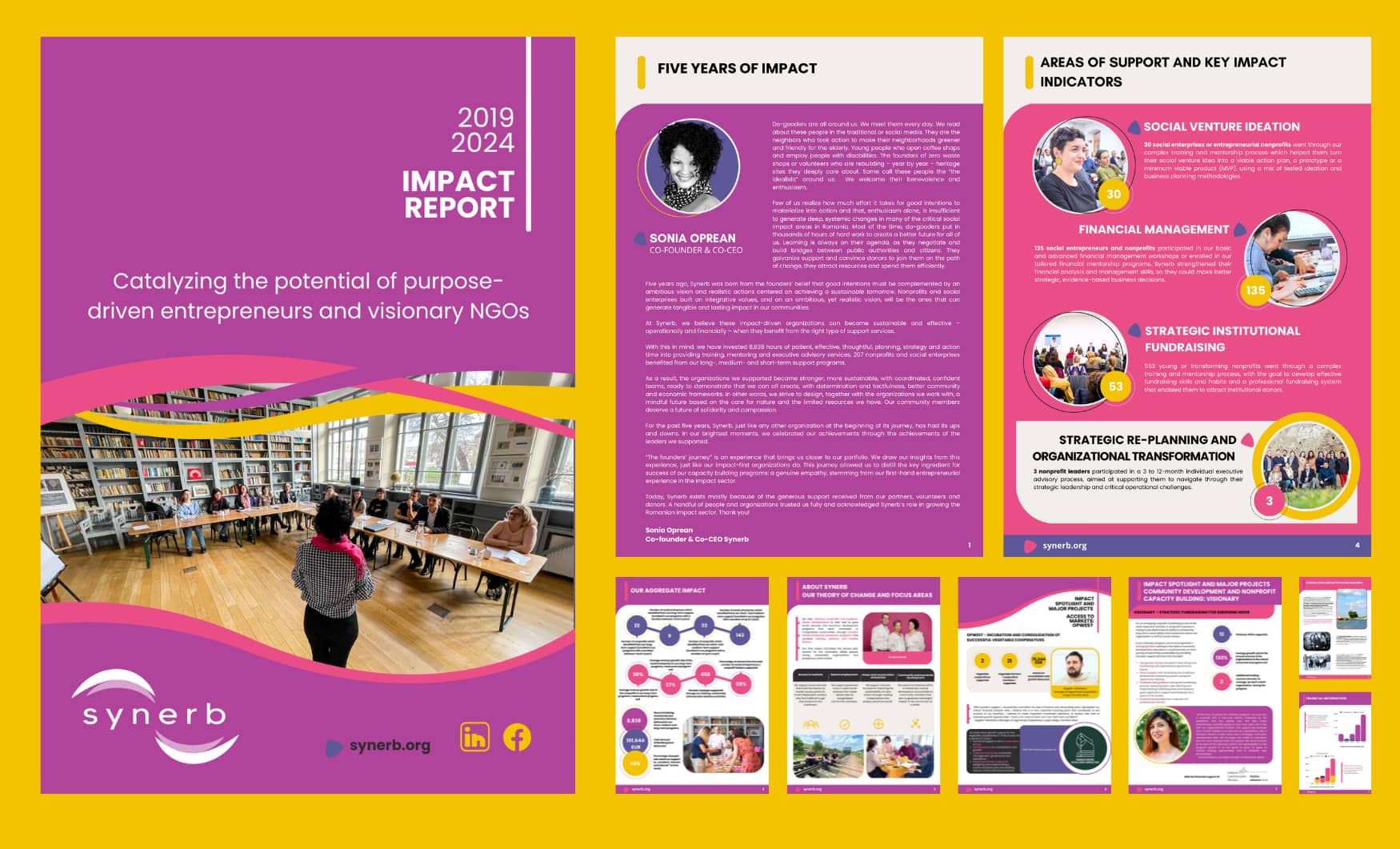 Snapshot Impact Report Synerb 5 years 2019 2024