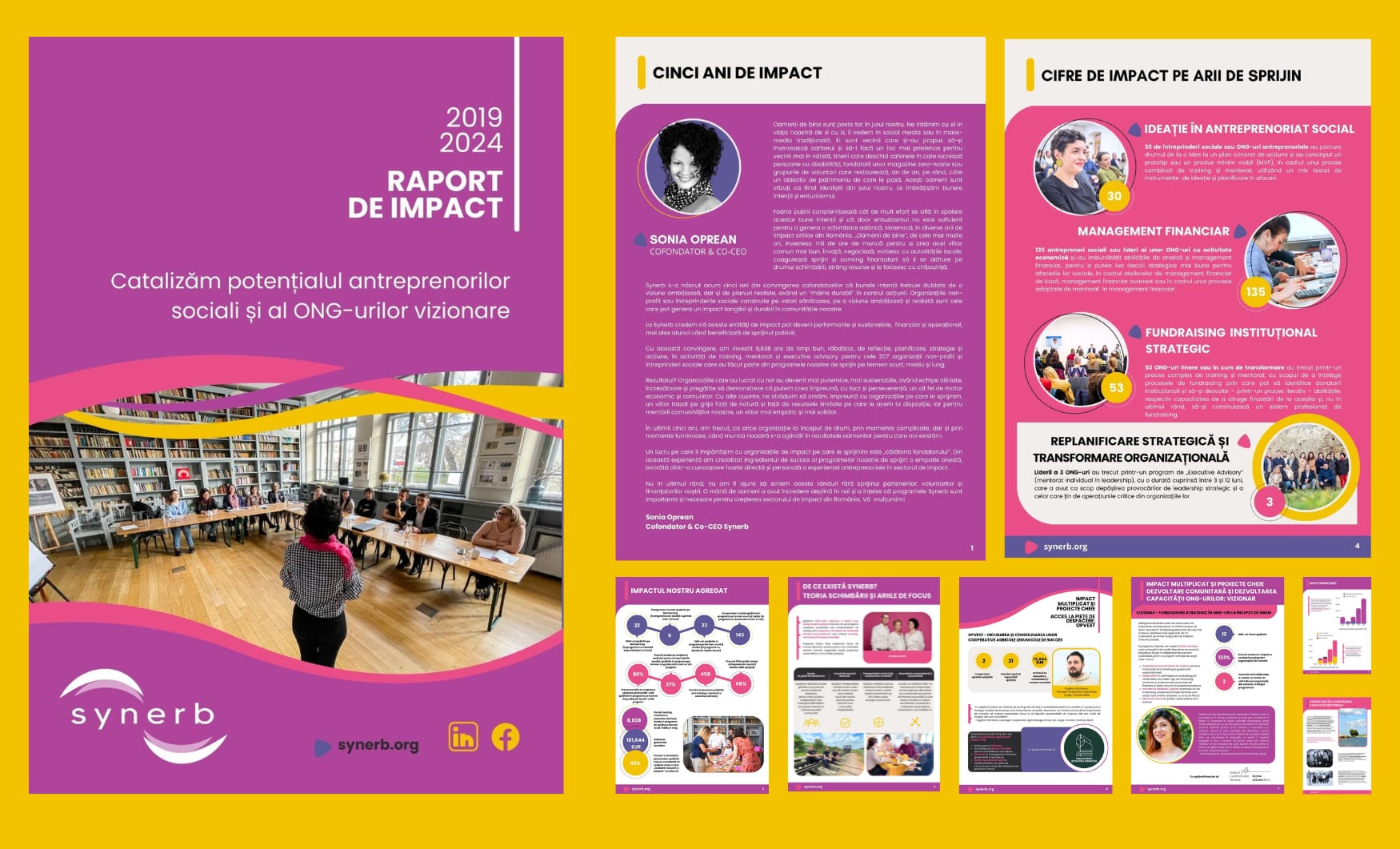 Snapshot Raport de Impact 5 ani Synerb 2019 2024