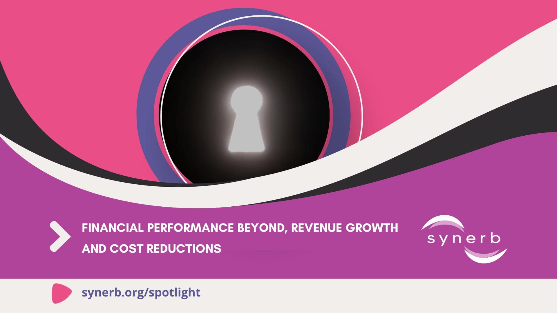 Financial Performance Revenue Cost Social Enterprises Synerb