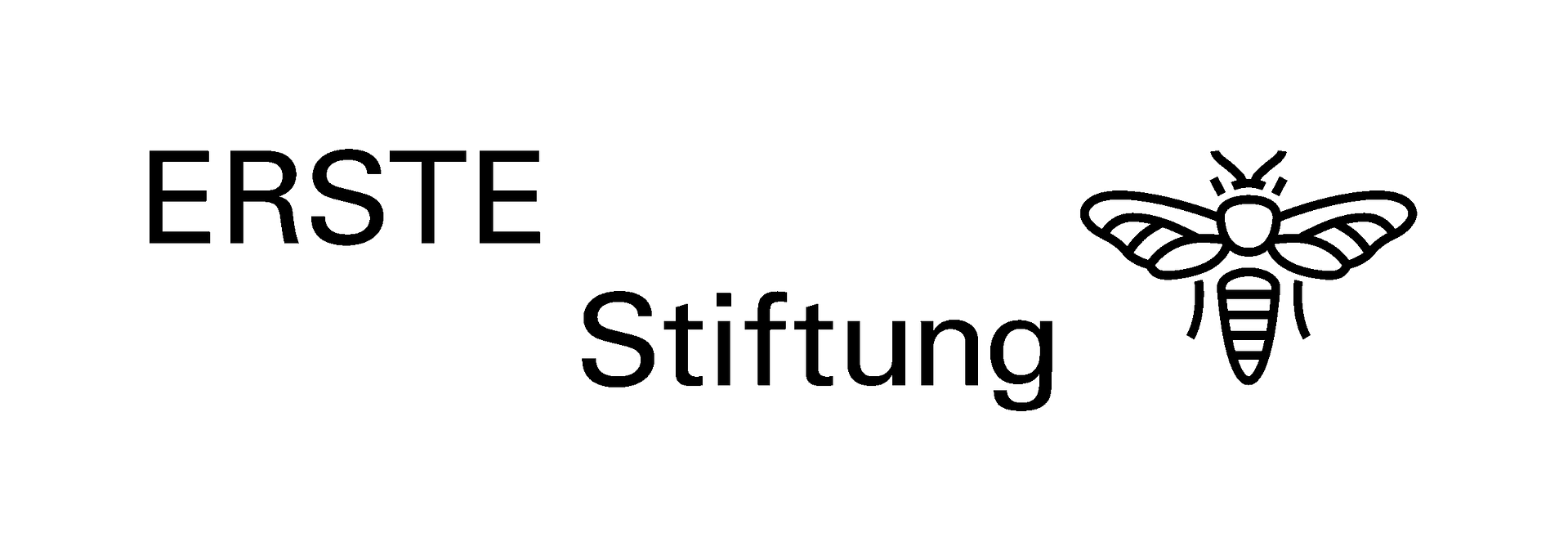 ErsteStiftung Logo RGB black scaled ErsteStiftung Logo RGB black scaled