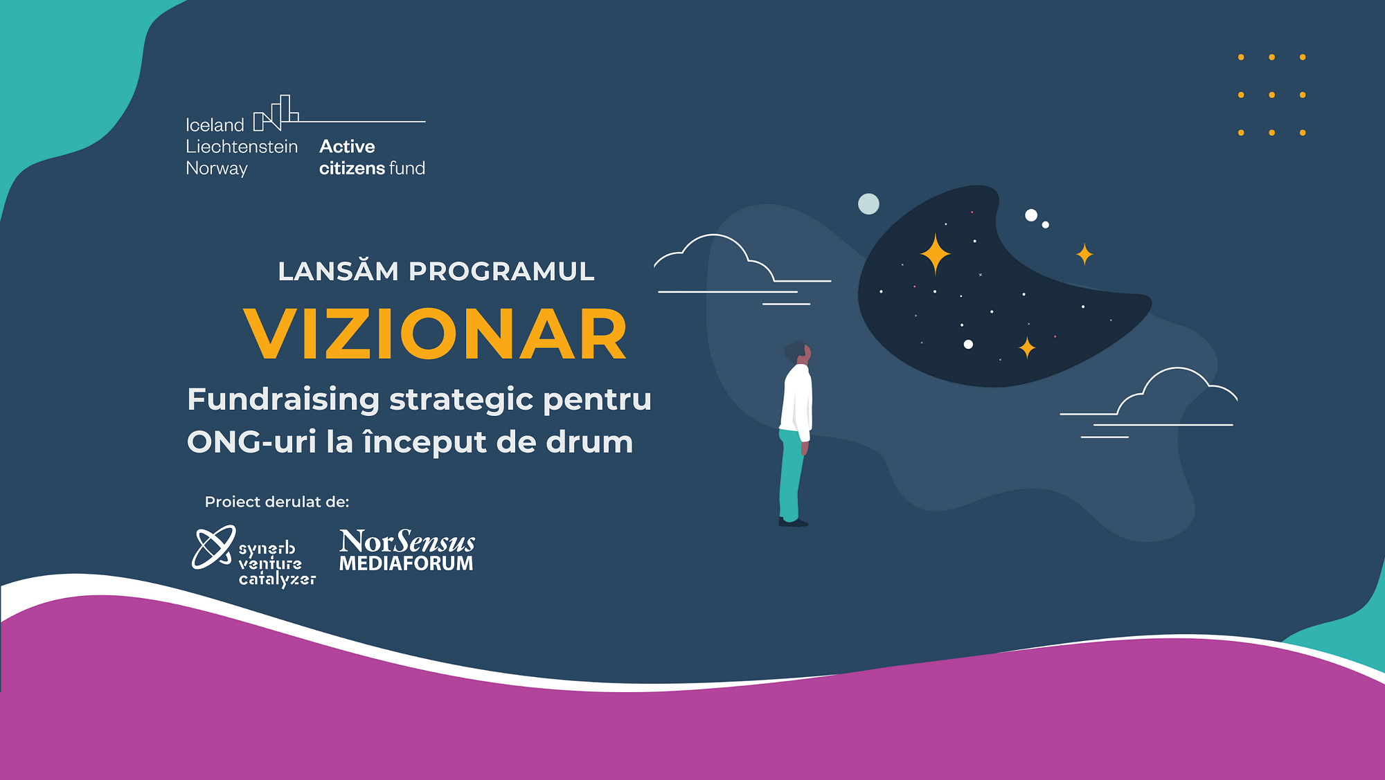 Comunicat presa Vizionar fundraising strategic ONG uri tinere