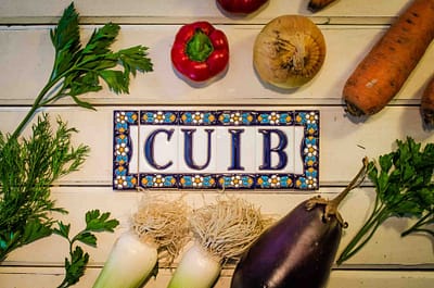 Cuib Mai Bine Header SYNERB VENTURE CATALYZER Portfolio 17