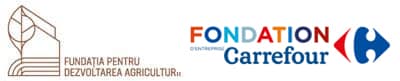 Instaredebine FDSC Kaufland Synerb consultanta