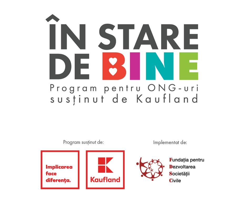 Instaredebine FDSC Kaufland Synerb consultanta