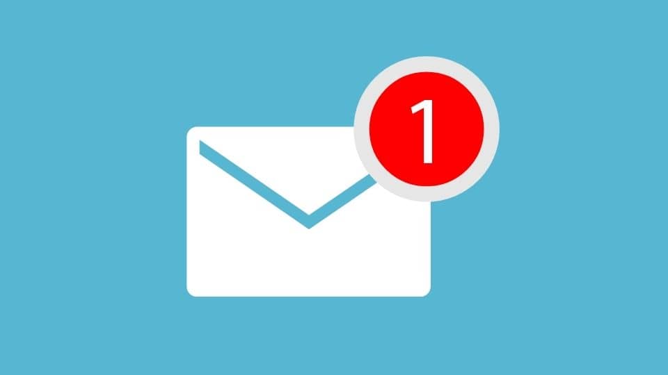 Synerb newsletter