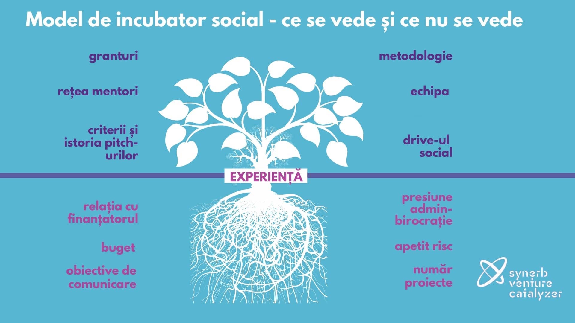 Model de incubator afaceri sociale Synerb